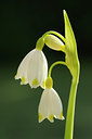 BUITEN BEELD Foto: 89086