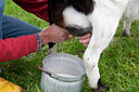 BUITEN BEELD Foto: 89132