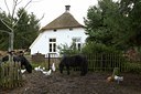 BUITEN BEELD Foto: 89141