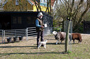 BUITEN BEELD Foto: 89150