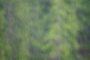 BUITEN BEELD Foto: 89173