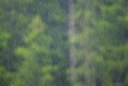 BUITEN BEELD Foto: 89174