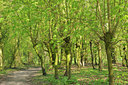BUITEN BEELD Foto: 89200