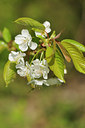 BUITEN BEELD Foto: 89201