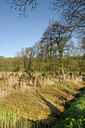 BUITEN BEELD Foto: 89204