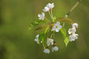 BUITEN BEELD Foto: 89210