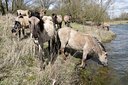 BUITEN BEELD Foto: 89248