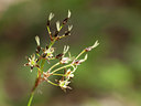 BUITEN BEELD Foto: 89295