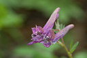 BUITEN BEELD Foto: 89300