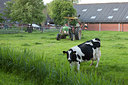 BUITEN BEELD Foto: 89381