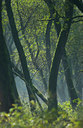 BUITEN BEELD Foto: 89445