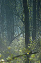 BUITEN BEELD Foto: 89447