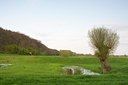 BUITEN BEELD Foto: 89469