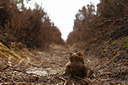 BUITEN BEELD Foto: 89474