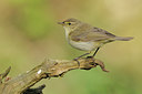 BUITEN BEELD Foto: 89502
