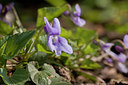 BUITEN BEELD Foto: 89524