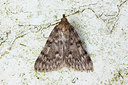 BUITEN BEELD Foto: 89581