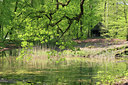 BUITEN BEELD Foto: 89610