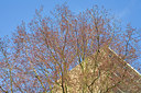 BUITEN BEELD Foto: 89678