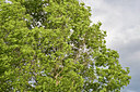 BUITEN BEELD Foto: 89679