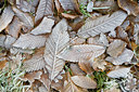 BUITEN BEELD Foto: 89696