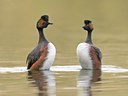 BUITEN BEELD Foto: 89826