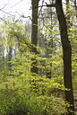 BUITEN BEELD Foto: 89833