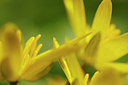 BUITEN BEELD Foto: 89877