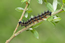 BUITEN BEELD Foto: 90018