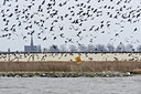 BUITEN BEELD Foto: 90036