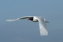 BUITEN BEELD Foto: 90063