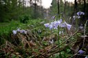 BUITEN BEELD Foto: 90075