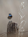 BUITEN BEELD Foto: 90135