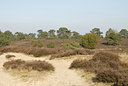 BUITEN BEELD Foto: 90146