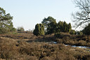 BUITEN BEELD Foto: 90161
