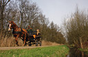 BUITEN BEELD Foto: 90186