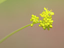 BUITEN BEELD Foto: 90219