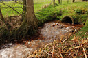 BUITEN BEELD Foto: 90221