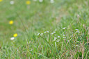 BUITEN BEELD Foto: 90224