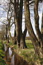 BUITEN BEELD Foto: 90235