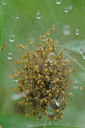 BUITEN BEELD Foto: 90255