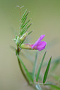 BUITEN BEELD Foto: 90354
