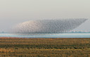 BUITEN BEELD Foto: 90386