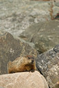 BUITEN BEELD Foto: 90455