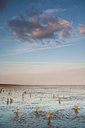 BUITEN BEELD Foto: 90494