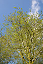 BUITEN BEELD Foto: 90520