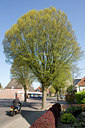 BUITEN BEELD Foto: 90581