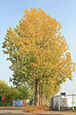 BUITEN BEELD Foto: 90621