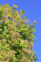 BUITEN BEELD Foto: 90636