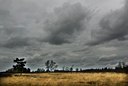 BUITEN BEELD Foto: 90661